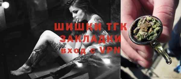 apvp Гусь-Хрустальный