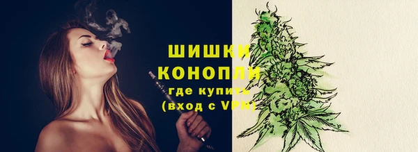 apvp Гусь-Хрустальный