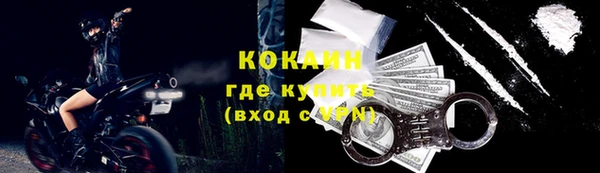 apvp Гусь-Хрустальный