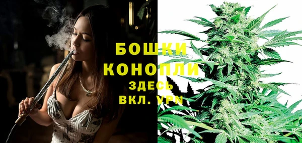 apvp Гусь-Хрустальный