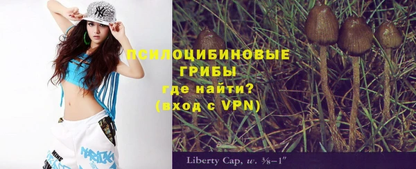 mdma Горняк