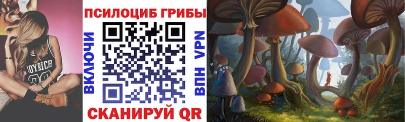 Галлюциногенные грибы прущие грибы  Ядрин 